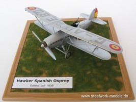Spanish Osprey